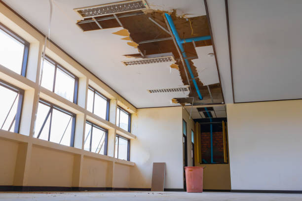 Best Water damage restoration near me  in Temple Terrace, FL